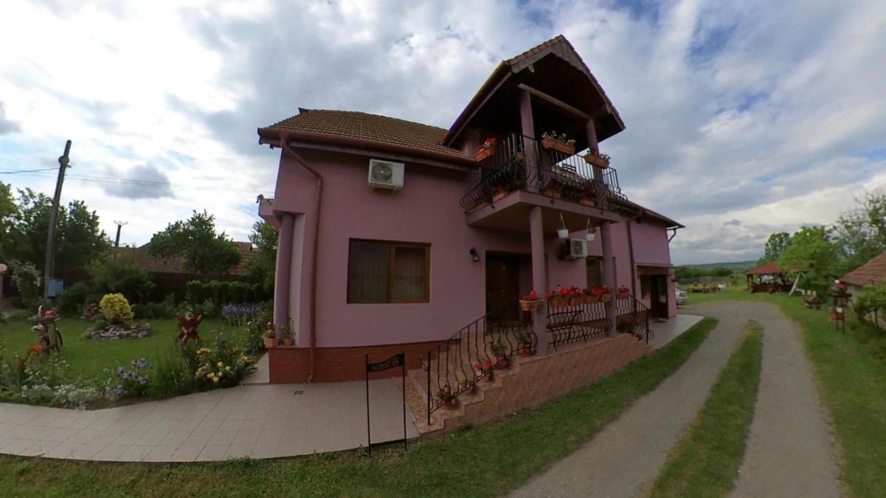 Hotel Pensiunea Oana Balc Exterior foto
