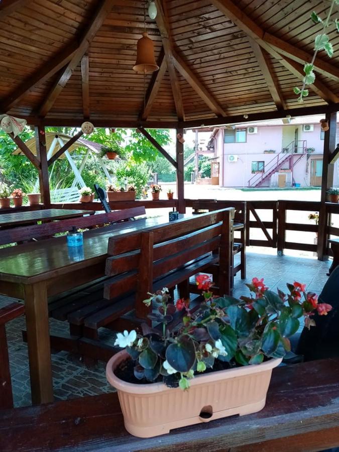 Hotel Pensiunea Oana Balc Exterior foto